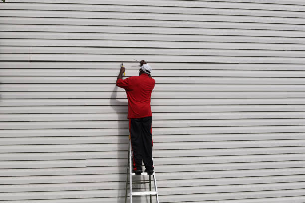 Best Residential Vinyl Siding Installation  in Lake San Marcos, CA