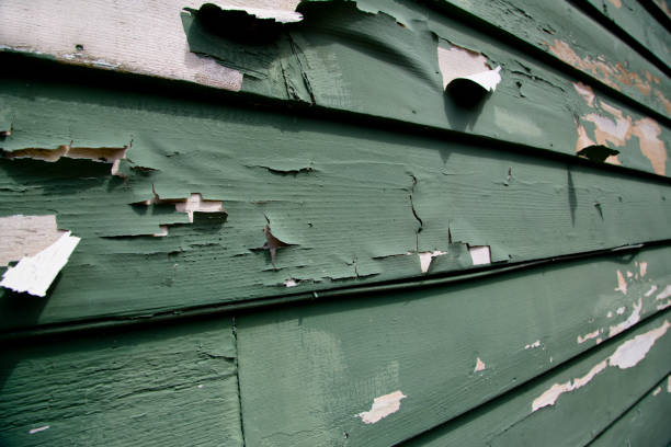 Best Stone Veneer Siding  in Lake San Marcos, CA